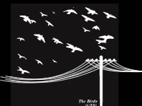 Camiseta birds